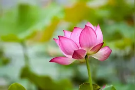 退休后才知道，低层次的亲家常说这六种话，高层次的亲家守口如瓶图片