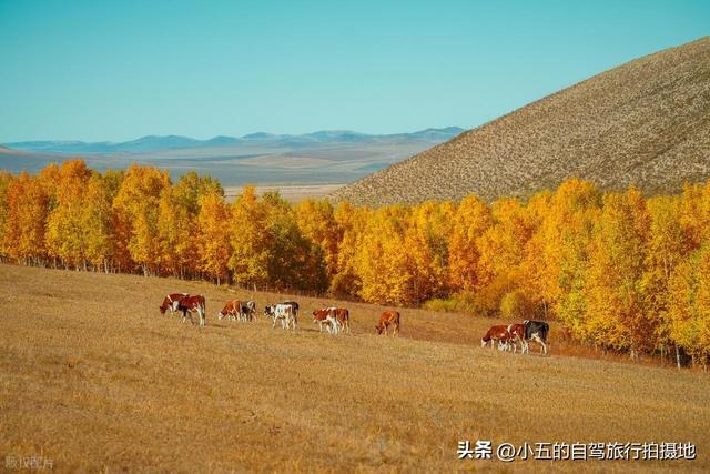 11月旅游的目的地推荐|每一个都是出片圣地的存在