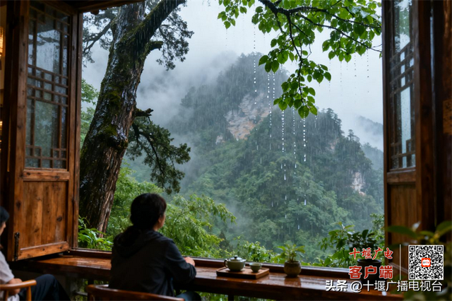 武当变身天然“氧舱” 游客雨中寻“氧心”康养