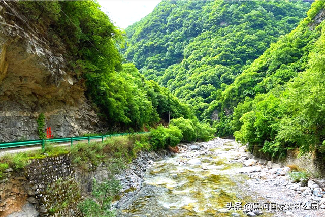五一宝藏旅行地！2h直达秦岭天然森林氧吧