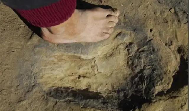 27岁男子秦岭徒步失联，母亲出面不让救，搜救员找到人后愣在原地