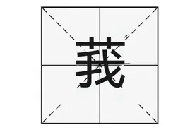 “艹+我”组成“莪”字，正确怎么读？是什么意思？小雅·菁菁者莪图片