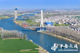 不负春光，徐淮阜高速阜阳段建设全面提速图片