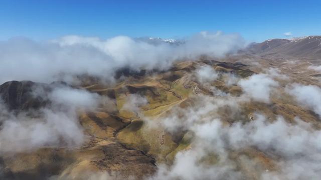 玛曲寒意渐起：裹暖，藏安，待冬来