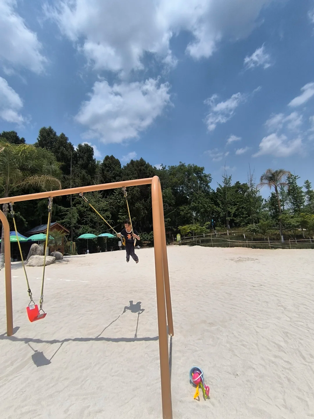 先收藏！成都1h直达最美水杉公园，小众人少、景美出片！