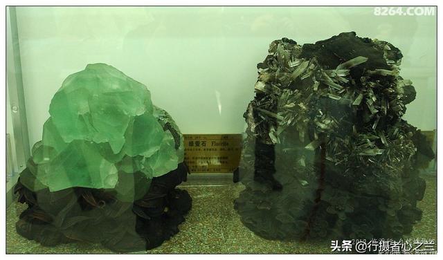 山东行游影记（31）—平邑天宇自然博物馆（六）