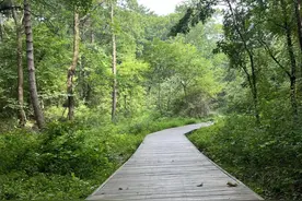 高绿植覆盖率！这个小众郊野公园，简直就是沈阳纳凉散步天花板～图片