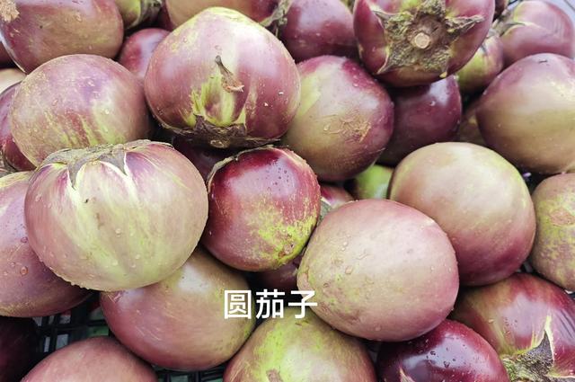山西及周边随意行之月亮湖 13