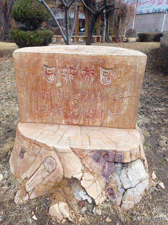 春雨润新园，繁花赴春约 ，在繁花满枝的春日里，遇见最好的自己