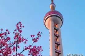 东方明珠详细参观攻略，首次来沪值不值得登塔，个人建议避坑指南图片