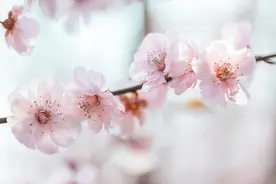 一旦女人被撩时，有以下三个反应，暗示你可以追她了，男人都要懂图片