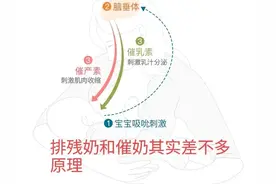 断奶后到底要不要排残奶？图片