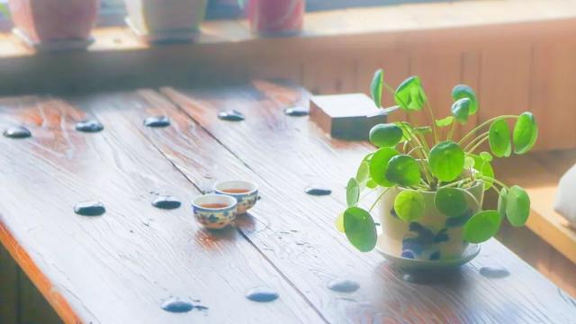 八首温柔诗词：愿被岁月温柔以待，不负流年