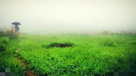 立冬下雨兆头不好？俗语“立冬下了雨，新坟遍地起”背后的真相！