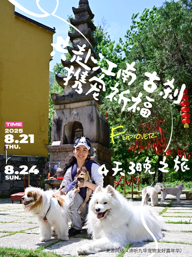 这个8月，拖猫带狗闯江南竹海~