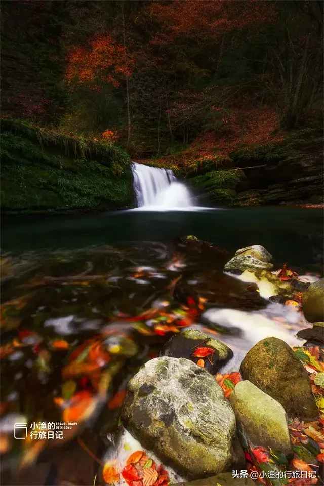 这才是陕西秋景“天花板”，红叶不输光雾山！周末免费，快冲！