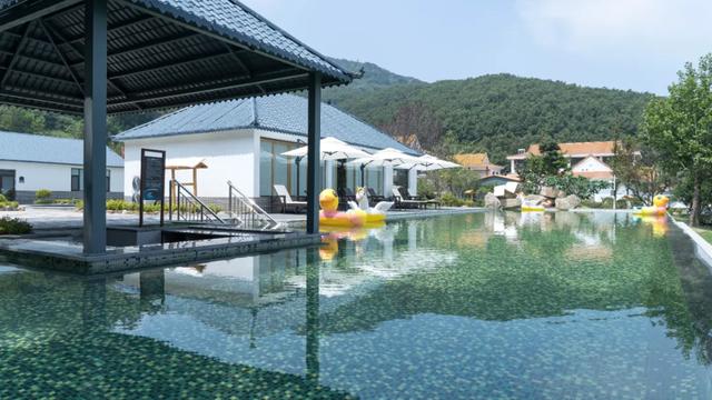 畅游龙城，一路生花——诸城春日精品旅游线路推荐