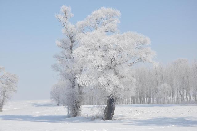 沈白高铁首个冰雪季出行攻略来了