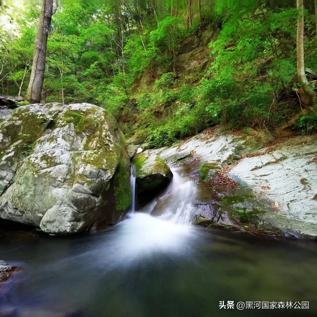 高温别怕！进山纳凉来黑河，山水环绕凉快极了！
