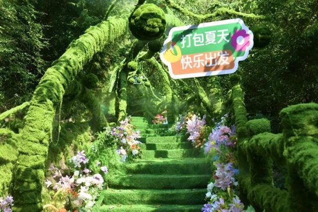 初秋神农山太绝了！龙脊穿云、白松摇曳，看不完的浪漫与惊喜！