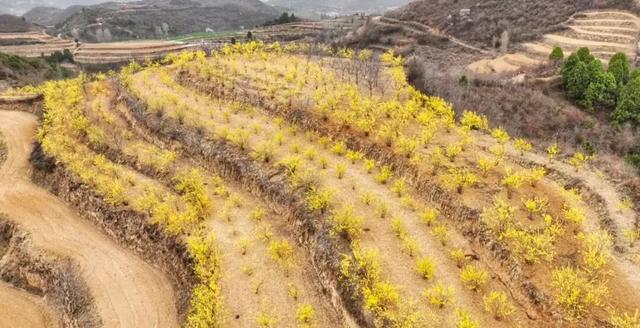 在两当，春天就要Color Walk→