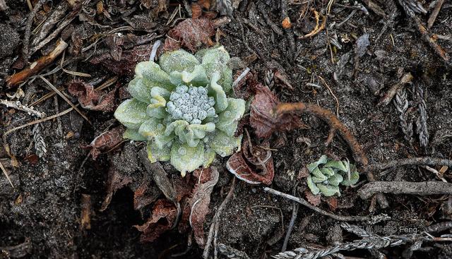 EBC，户外人的终极梦想（D10：宗那到高桥）