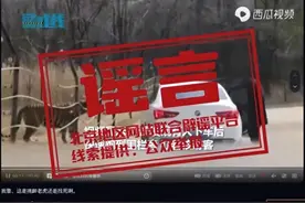 八达岭野生动物园一游客在孟加拉虎园下车？回应来了图片