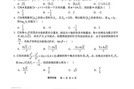 2025 届安徽省“江南十校”联考数学试卷及解析图片