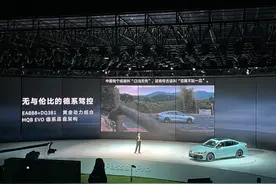 帕萨特：2.0T+7DCT+3块大屏！德味十足帕萨特！黑武士版太帅了！图片