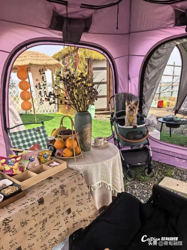 清明假期就来武汉蔡甸永安,3条线路带你体验“山系生活”!