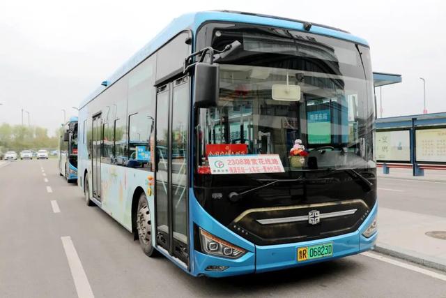 限时开行！列车串起繁花与海滨画卷！