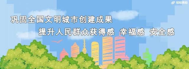 在森林里开派对！本周末鹿冲关森林公园邀你“躺平”绿荫中
