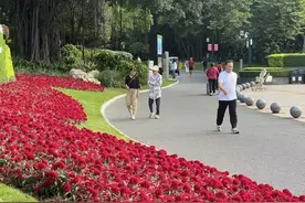 南湖公园将打造“体育公园” ，新增这些场地→图片