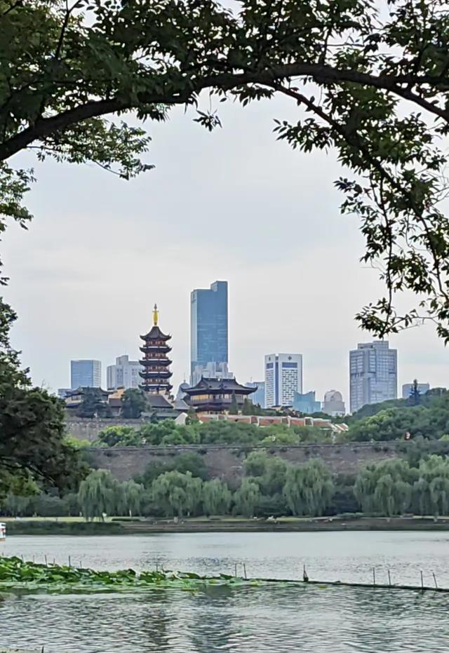千成万城为何独爱南京？