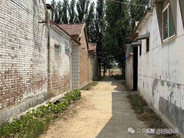 冠县乡韵·柳林镇三里屯村