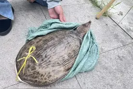 全是“套路”，北京街头多处出现，快举报→图片