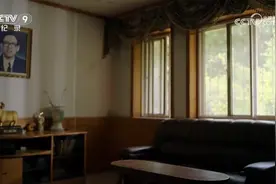 山大出品！纪录片《数学之美》国际数学日登上央视图片