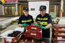 一颗塔吉克斯坦樱桃的跨境之旅图片