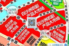 武汉白沙洲大市场搬迁正在统筹推进中图片