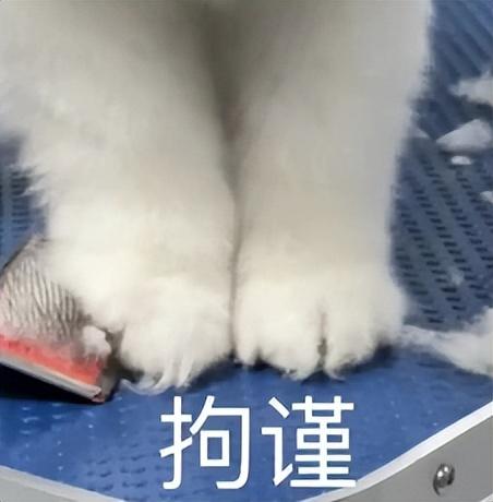 华为新机今天「一打二」的操作，把全部网友都整不会了