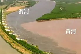 渭河入黄河图片