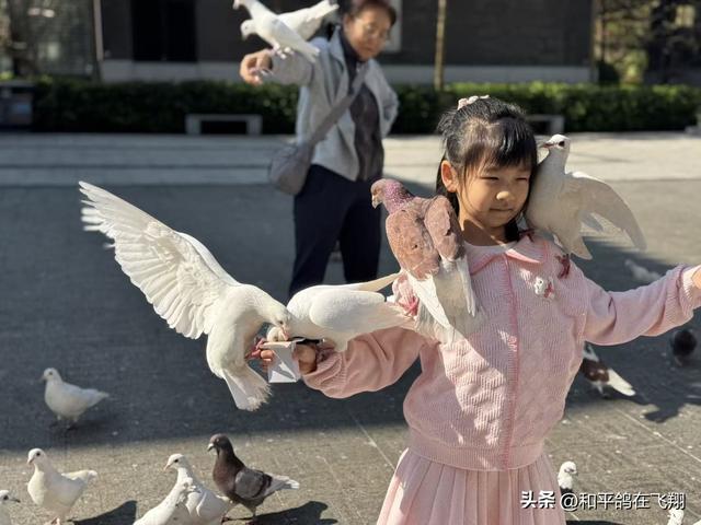 他乡非皆胜故乡，旅游本是心远行