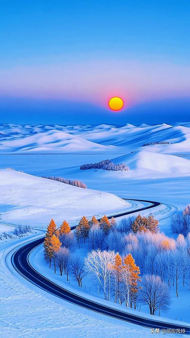 雪裹秋光，树栖金芒