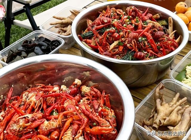 成都市区最大免费露营地，可以烧烤、烤肉，公共交通可到达！