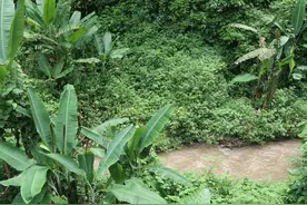 六甲秘祝：专精修持，可以做到不做恶梦吗图片