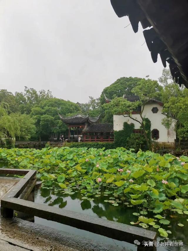 到苏州听评弹赏园林 || 胡成江