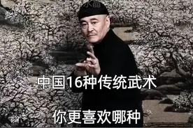 中国16种传统武术 你最喜欢哪一种图片