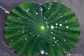 沈阳下周将出现持续性高温天气图片