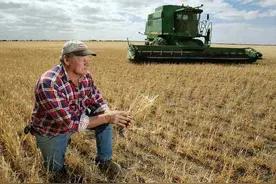 我国去年从乌克兰进口超300亿，都买了什么商品？图片