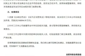 合肥刚刚通报！三只羊公司被罚没6894.91万元，责令暂停经营限期整改图片